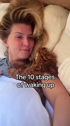 10 stages of waking up 🐾 Copyright ©️ #poodle #toy-poodle