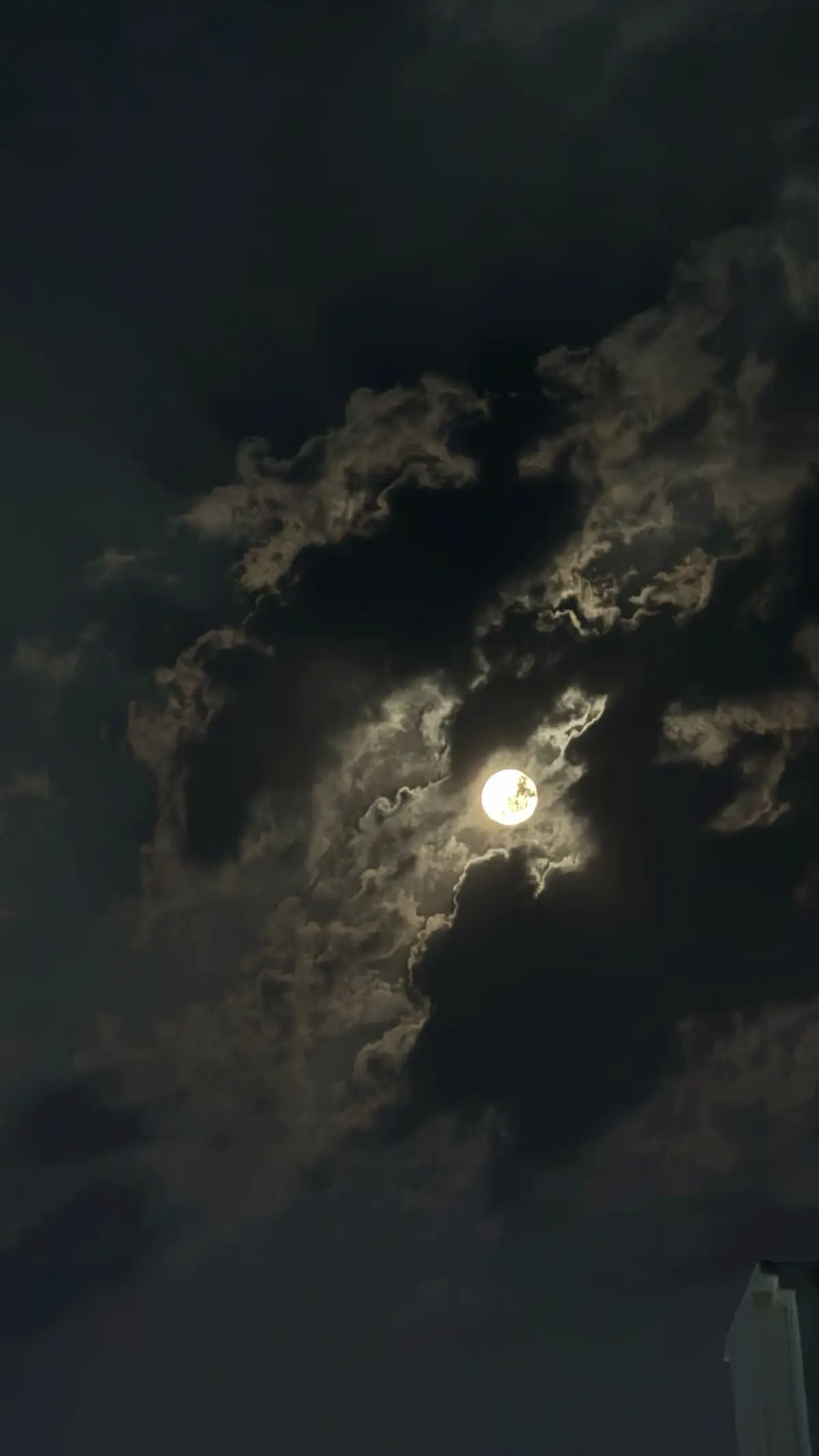 #قران  #اكسبلور #ارح_سمعك_بالقران 