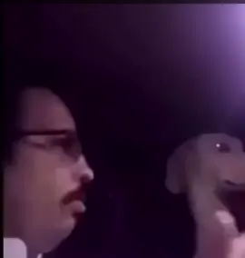 الوضع بدون صاحب تركب كلب تشكي همومك له 😫😂 #جدة #جدة_الان #ضحك 