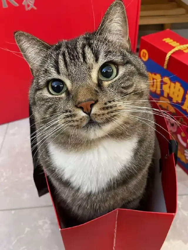 #nikepro #найкпро #рек #врек #галстук #печенье 