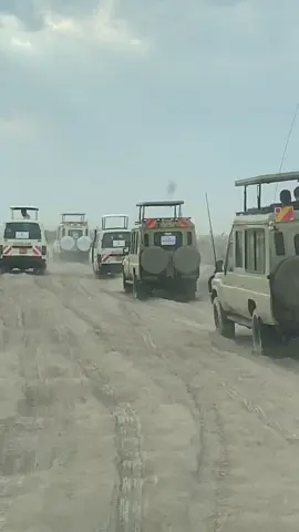 #belive ✌🏽💯#amboselinationalparkkenya 