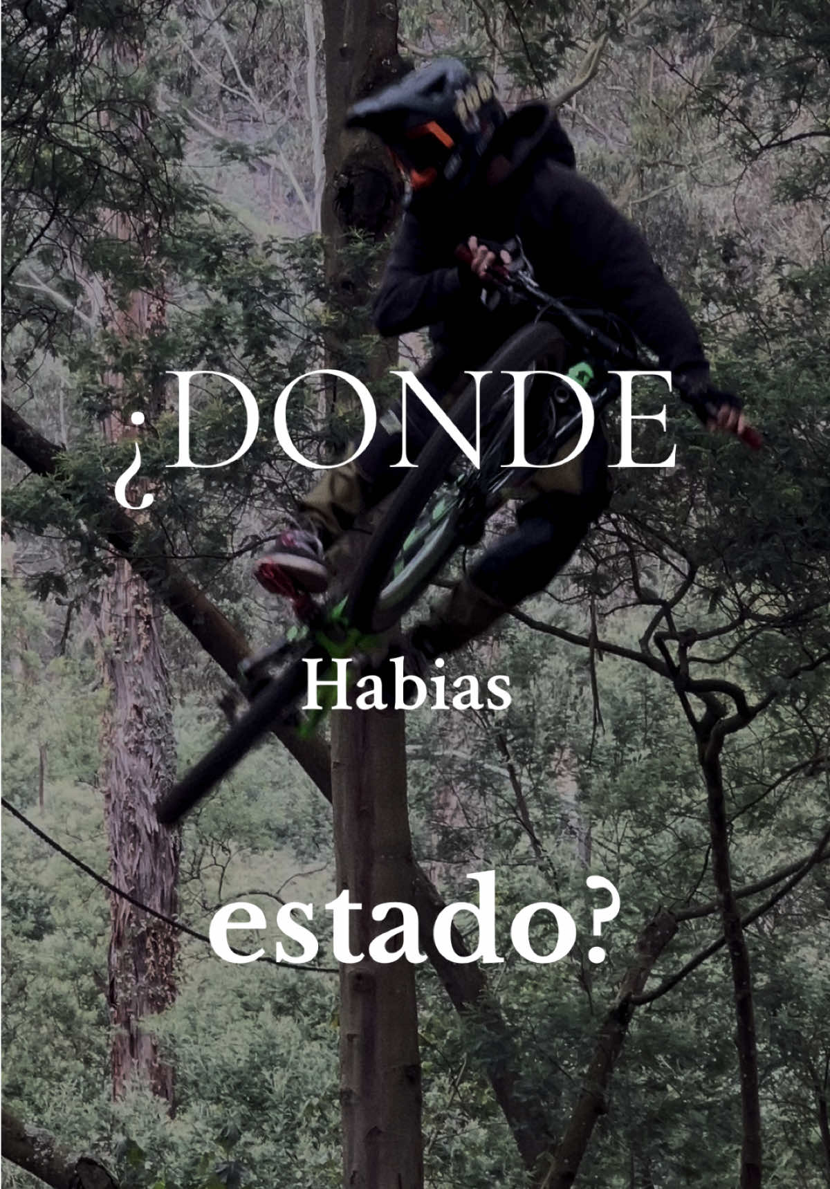 #donwhillbike #motivation #donwhill #freerider #scottgambler 