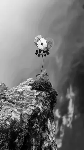 كلام من ذهب 👌🏻 #كلام_من_ذهب👌🏻 #كلام_من_القلب #كلام_من_ذهب #الحمدالله_علی_کل_حال❤ #صلوا_على_رسول_الله🤲🕋 