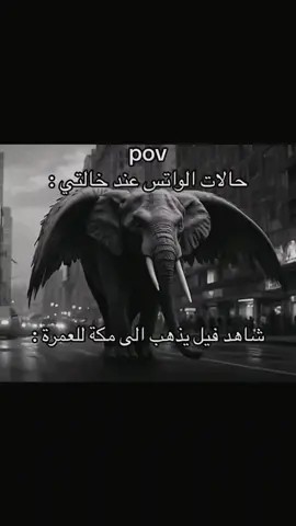 حصل😂😂🤨؟#خالتكم_الحلوه💞🦋 #ضحك اول مقاطع