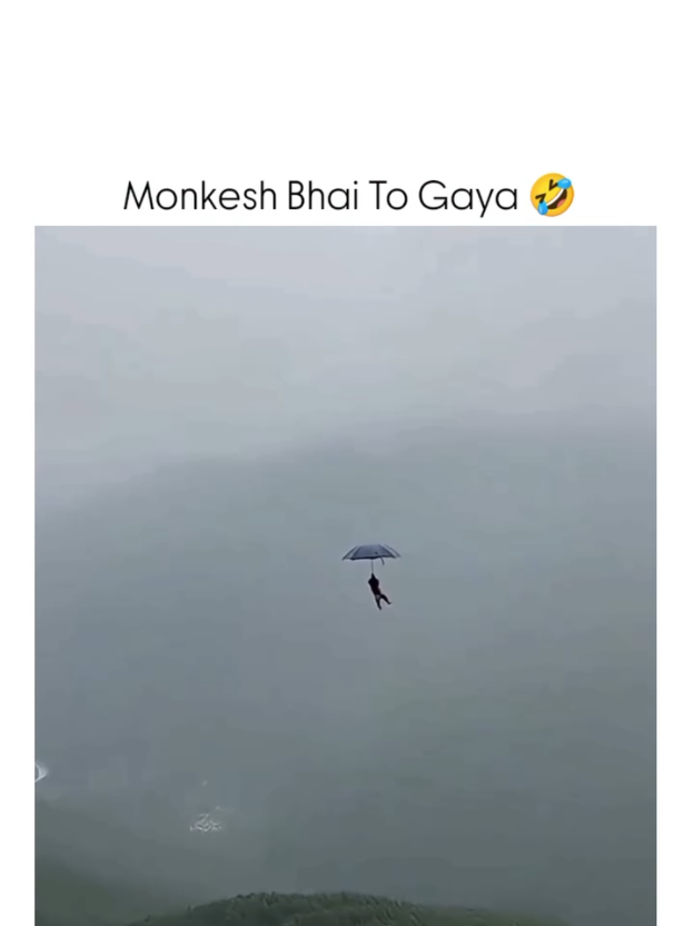 #monkey #funnyprankvideos #fpyyyyyyyyyyyyyyyyyyyyyy #funnyvideos😂 #tagfriends🤣😂 