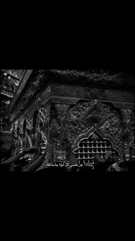 #كربلاء_مدينة_العشق_والعاشقين 