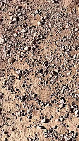 #جبل_نفوسة🔥♓ #القلعة #زوارة #fppppppppppppppppppppppp #ليبيا🇱🇾 