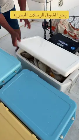 #الشعب_الصيني_ماله_حل😂😂 #مالي_خلق_احط_هاشتاقات #صيد #fyp #بحر_الشوق 