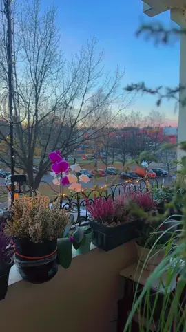 #الناصريه_ثوره_اكتوبر_شجعان_الناصريه #👍👍👍👍 #الشعب_الصيني_ماله_حل😂😂 #العراق_السعوديه_الاردن_الخليج #اوربا_المانيا_النمسا_هولند 