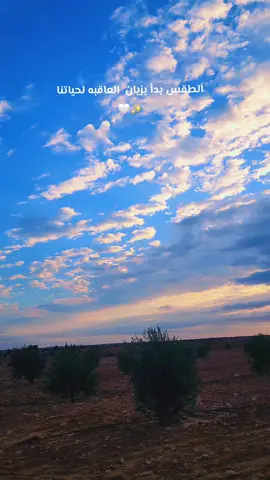 #قابس_الجنوب_تونس❤🌴  #