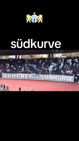 #Fcz#fczürich#fczbingz#südkurve#zürichsüdkurve @fcz_offiziell 