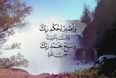 #foryoupage #quran_alkarim #typ #foryou #quran 