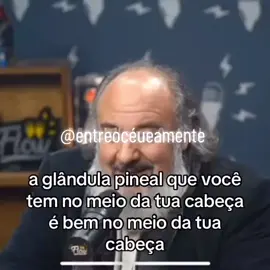 Dr. Sérgio Felipe de Oliveira Flow Podcast #espiritulidade  #projeçãoastral #despertarespiritual  #despertardaconsciencia #vídeosvirais 