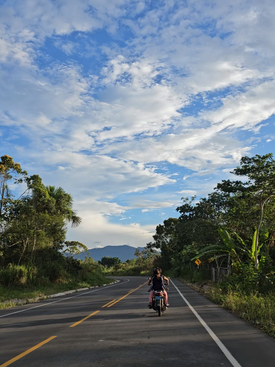 #sanmartinselva🇵🇪🌲❤️💚 #nuevacajamarca🌲☘️🌴 