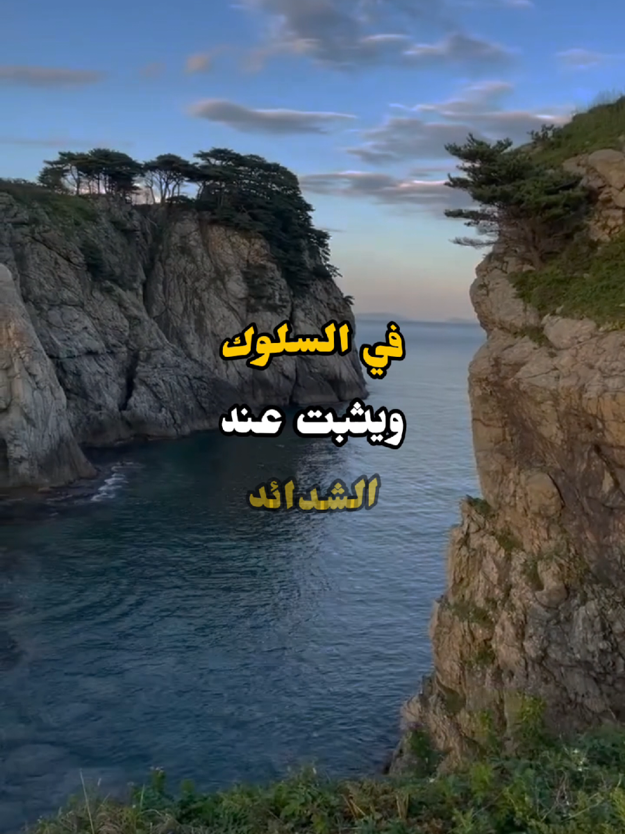 الأخلاق هي جوهر الإنسان #نبض_الحكمة #خواطر #كلام_من_ذهب #جبر_الخواطر 