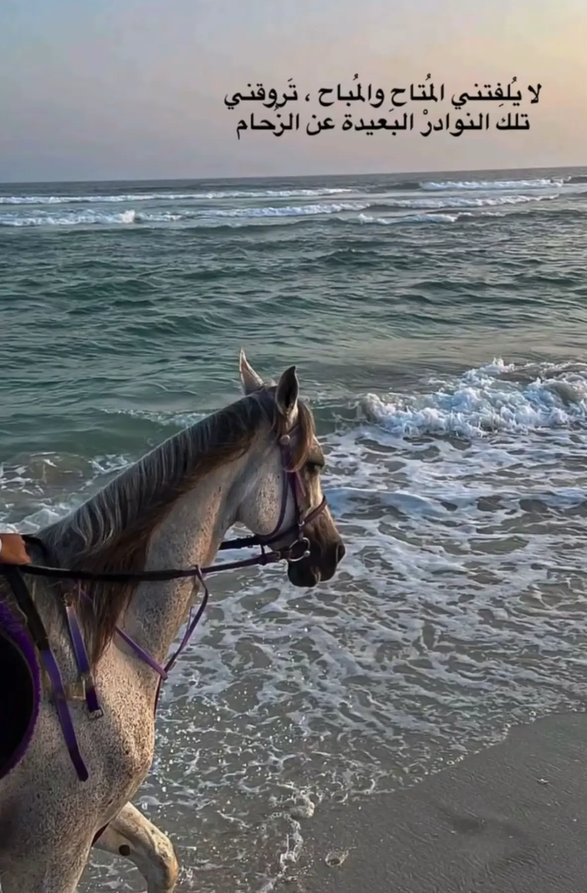 #tendance #morocco🇲🇦 #amazigh #maghrib #maroc 