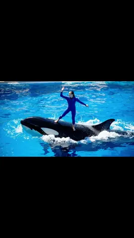 #creatorsearchinsights آخر لحضات جيسكا والحوت ياكلها#AI فيديو#جيسكا #fypتوضيح هذا  بذكاء الا#Jessica 