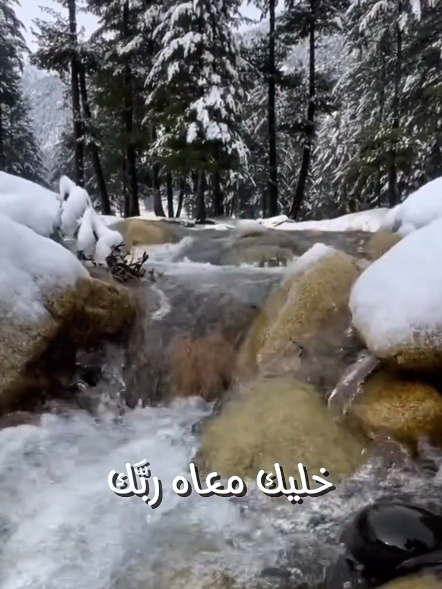 جديد الجزء (2) انشوده خليك مع الوهاب للشيخ @محمد عبدالرؤوف السوهاجي 