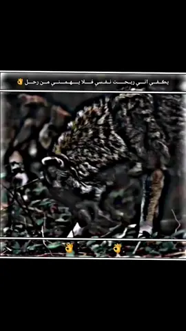 #لايك #تعليق #متابعه_ولايك_واكسبلور_فضلا_ليس_امر #ادلب_حمص_حلب_شام_درعا_حماة 