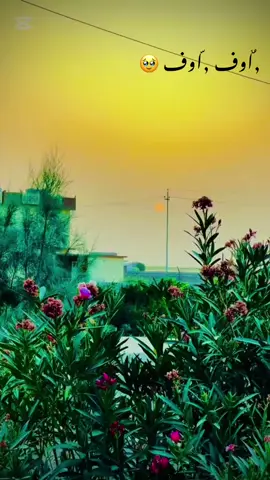 #تصاويري_احترافي_الاجواء📸 #تصويري_احترافي_الاجواء👌🏻🕊😴 #تصويري #الحويجه_دار_العز #صعدو_الفيديو 