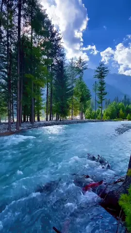 إن الله وملائكته يصلون على النبي يا أيها الذين آمنوا صلوا عليه وسلموا تسليما #سعود_الفايز #ايات_قرآنية #القران_الكريم #القرآن_الكريم #راحه_نفسيه 