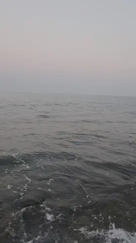 #حبيت أسلم عليك 👋 وأخذ أخبارك 🖐 واذكرك بالغرام  اللي تناسيته..❤️#مجرد________ذووووووق🎶🎵💞 #اكسبلور_تيك_توك 