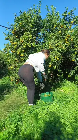 #video #fyp #neipertee 