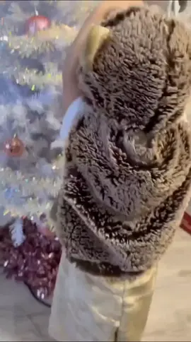 #рекомендации #рек #приколы #2021 #уголь #анекдот #школа 