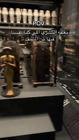 #متحف_المصرى_الكبير #الشعب_الصيني_ماله_حل😂😂 #تصمم_فيديوهات🎶🎤🎬 #مصر🇪🇬 #egypt 🇪🇬🇪🇬🇪🇬