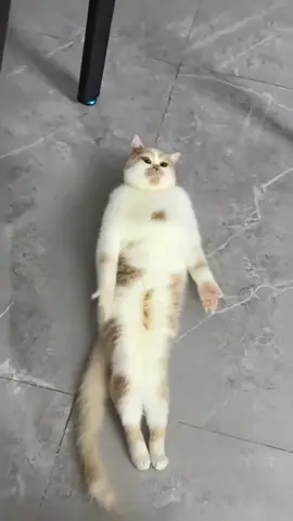 Du willst ein Body?? 🤣