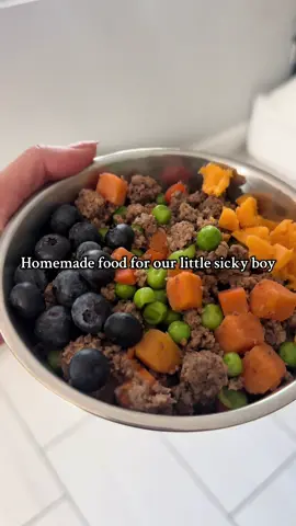 Allergy season is upon us ! And this is Zukos FIRST fall season! (He was born December 16th 2024) if anyone has any tips and suggestions please send them over !! #frenchiesoftiktok #allergyseason #fyp #frenchies #frenchiepuppy 