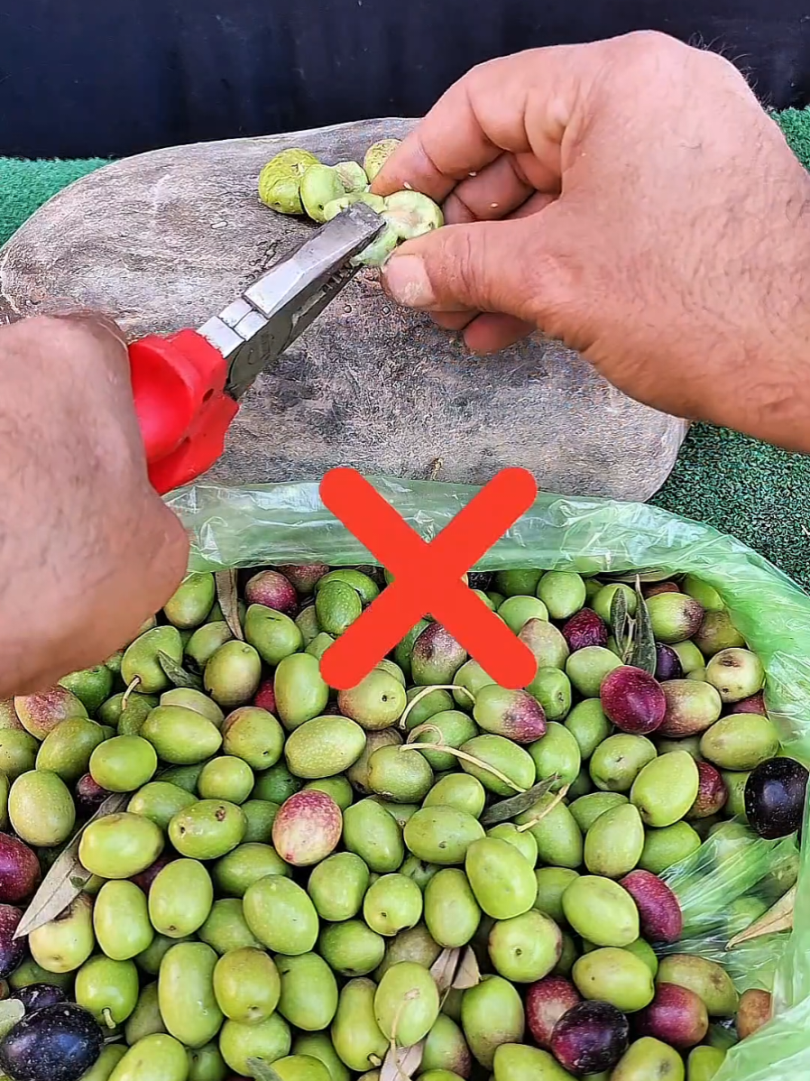 حيله ذكيه ومبدعه قل وداعا مشكله شق الزيتون بهذه الفكره بادوات منزليه بسيطه = simple inventions idées diy crafts #Amazing_inventions #plumbing #simple_inventions 