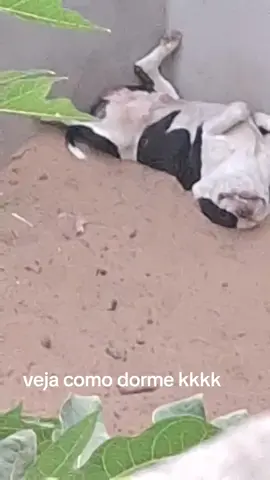 #paratiiiiiiiiiiiiiiiiiiiiiiiiiiiiiii #yfp #yfpppppppppppppppppppppppp #yfp #yummy 