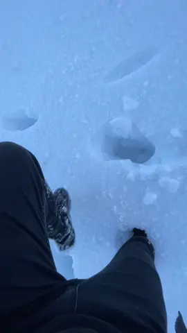 #ملتي_مِڼـّي_حياتي🌚💞🦚 #duhok_zaxo_amedi_semel_akre #zaxo_duhok_hewler_slemani_hawler #amjo #viral 