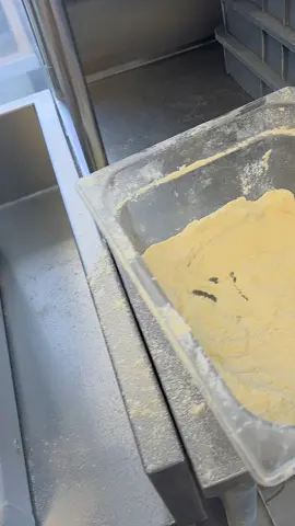 GRAND PAPA 🍕 #pizzalover #papajohns #viral #work 