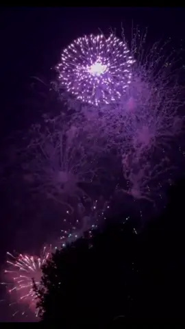 Fireworks xx #fireworks #fyp #makemefamous #xzyabc #colourful 