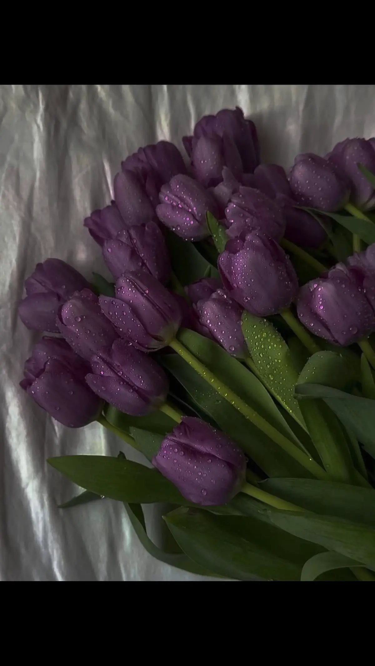 #قرآن #quran #اكسبلورexplore #سبحان_الله_وبحمده_سبحان_الله_العظيم #اجر_لي_ولكم_ولوالدينا_وللمسلمين 