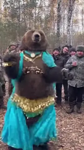 haydi dansa kalk ayıcık #dans #şarkı #ritim #eğlence #dance 