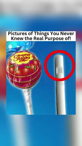 Pictures of Things You Never Knew the Real Purpose of 👀😳 #DidYouKnow #fyp #thingsyoudidntknow #interesting #neverseenbefore 