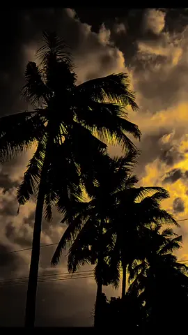 حتى بعد أن علمت أن الأمر مستحيل، مازلت أتمنى أن تصبح الاستحالة حقيقة “Bahkan setelah tau itu mustahil,aku masih mengharapkan kemustahilan itu menjadi nyata”