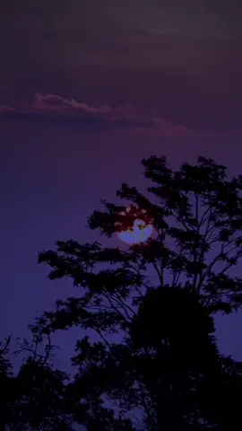 #انت_ياجنة_حبي_واشتياقي_وجنوني 