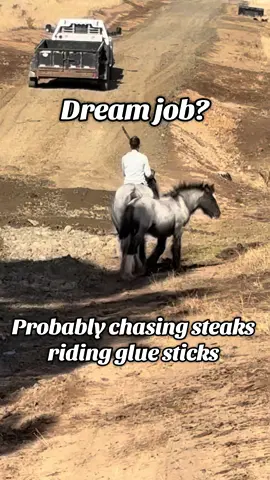 Anyone else?! Best job ever! 