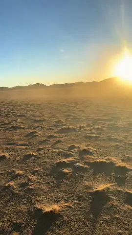 #القران_الكريم # القارئ محمد اللحيدان 