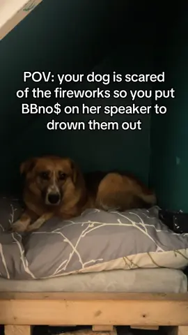 I’m glad she has good taste in music. Imagine if we’d been stuck listening to something awful all night?! I made sure she was raised right, we always listen to @bbno$ in the car #bbnomoney #dog#scary#puppy#bonfirenight 