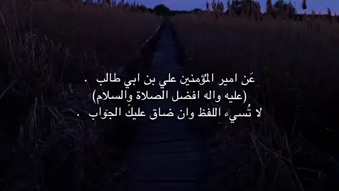 لا تُسيء اللفظ وان ضاق عليكَ الجَواب  . #اقتباسات #اكسبلور #fyyyyyyyyyyyyyyyy #مالي_خلق_احط_هاشتاقات #قصائد_حسينية 