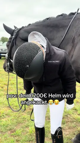 1:0 für den Vogel 🤧 #horsesontiktok #dressage #samshield #foryou #equestriantok 