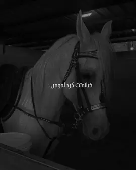 🖤#foryou #foryoupagе #actives? 