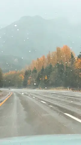 Asi es un viaje de Seattle a Yakima conmigo!! 😂✌️ #roadtrip #yakimawashington #travelvlog #thingstodoinwashington #roadtripusa 