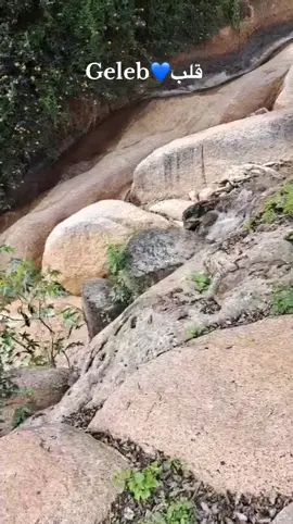 #eritreantiktok🇪🇷💙 #ارتريا_تيك_توك🇪🇷  #Geleb مدينة قلب#