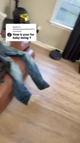 Replying to @Veronica(sweetheart) progress today! #fyp #dogsoftiktok #dog #allergies 